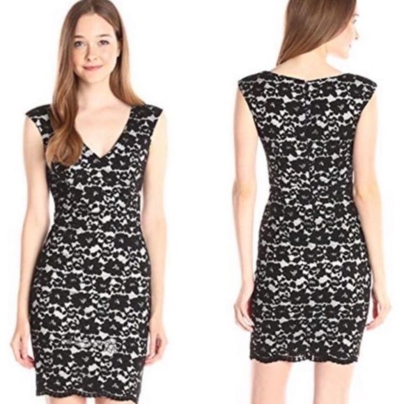 French Connection Dresses & Skirts - FRENCH Connection botanical Trip lace dress